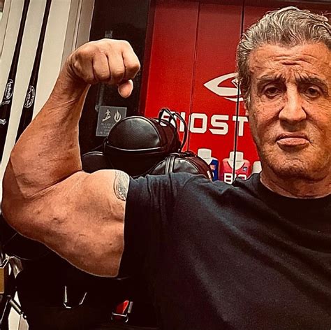 sylvester stallone today